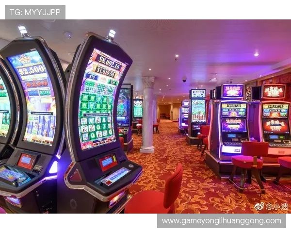 威尼斯娱乐娱：探索多样化的娱乐娱乐项目与服务