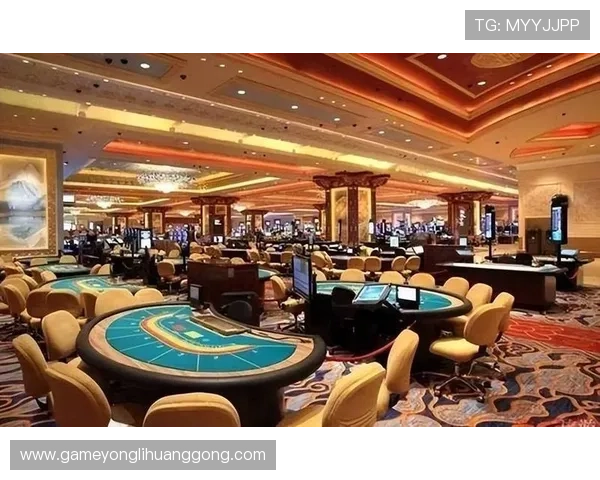 澳门十大娱乐场所有哪些值得一试的豪华赌场推荐与特色介绍